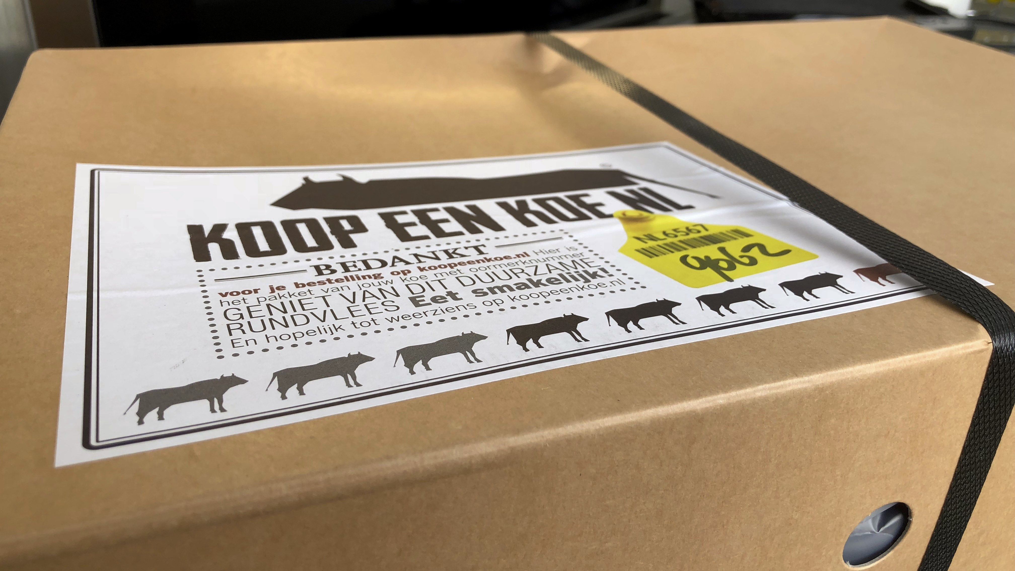 Koop een koe dit is onze ervaring met Grutto Incl. € 5, korting Huisa.nl Koop een koe dit is onze ervaring met Grutto Incl. € 5, korting Huisa.nl